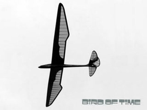 Bird time sailplane - bird, of