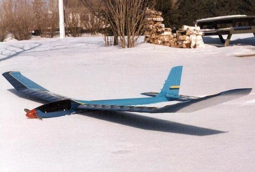 Buteo sailplane - sailplane, 80"