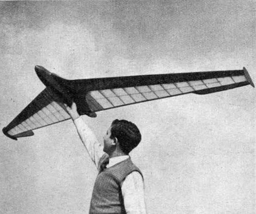 Aquila sailplane - ff, 95"