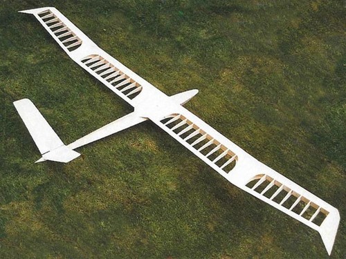 Aereo radiocomandato birdsong - aereo,