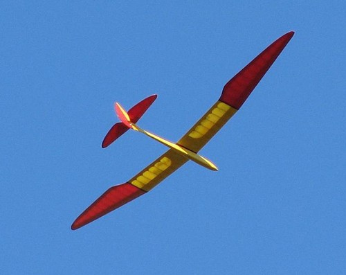 Piani veliero uccellino
